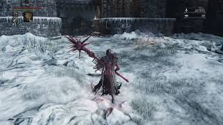 Twinking is vital to the Bloodborne Ecosystem - 2021