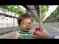 イチゴ狩り