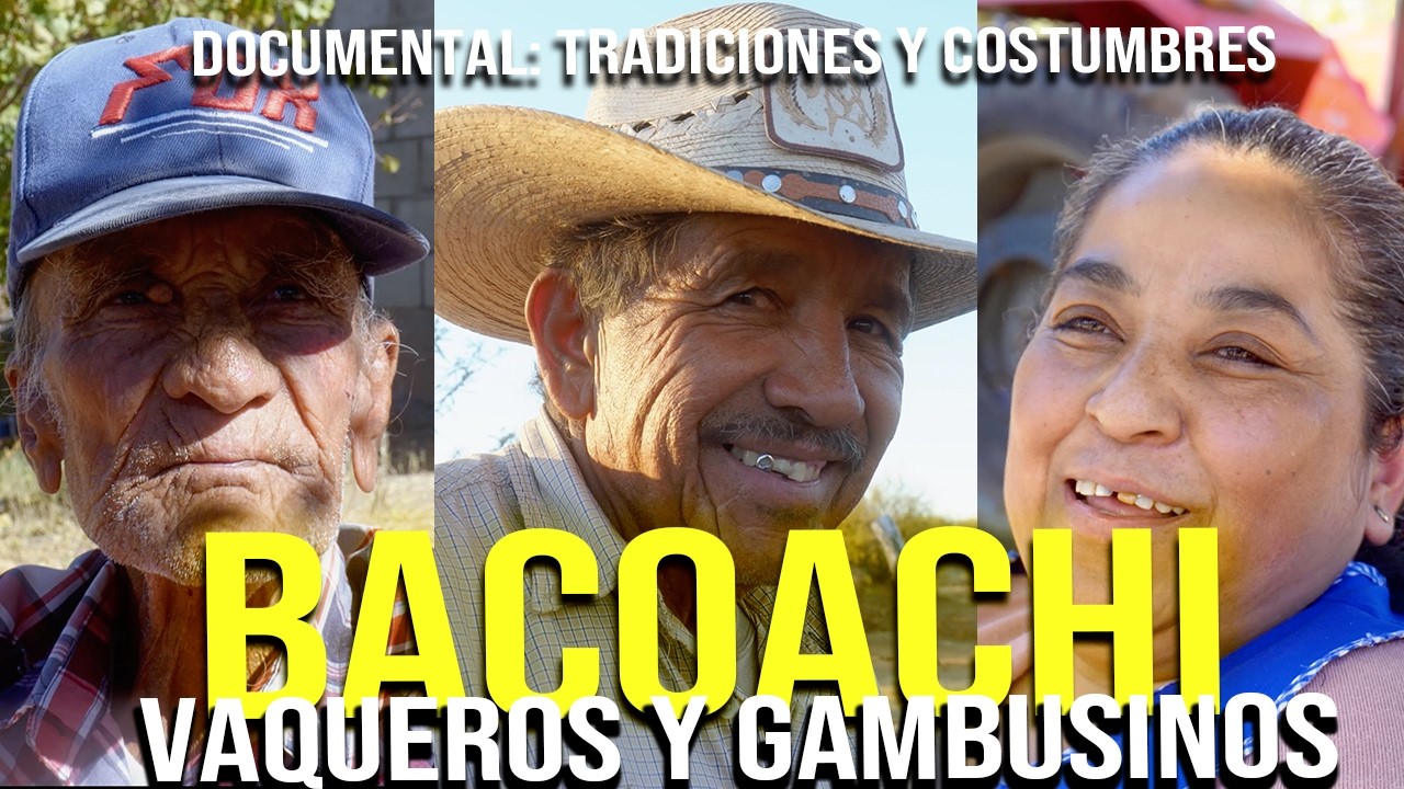 VAQUEROS y GAMBUSINOS: La recolección del ORO, y la VAQUEREADA en BACOACHI, SONORA | Documental