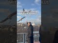 Must visit rooftop in Istanbul with seagulls #whattoseeinturkey #turkeytravel #istanbulturkey