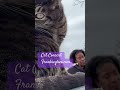 #catconcert #catlife #spring #Spokane #protest “Show Me” #cover #pretenders frankieghee.com
