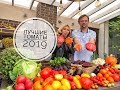 Лучшие томаты 2019. Дачные сезоны с Мариной Рыкалиной