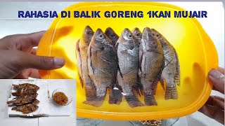 Cara Bikin Ikan Mujair Goreng Kering Gurih