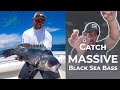 Black sea bass fishing  the setup to catch your biggest black sea bass part 1 of black sea bass