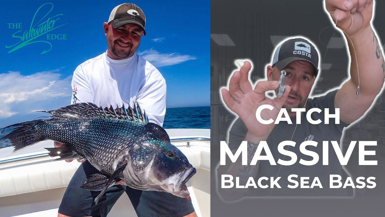 Black Sea Bass Fishing - The Setup to catch your BIGGEST black sea bass.  Part 1 of Black Sea Bass 