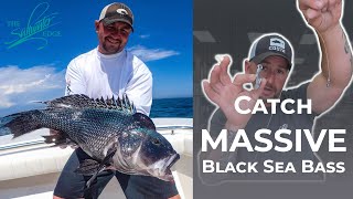 Black Sea Bass Fishing - The Setup to catch your BIGGEST black sea bass. Part 1 of Black Sea Bass