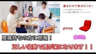 【腰痛持ちの方へ！】正しい姿勢の習慣用座布団 クッション（pinto）ピント