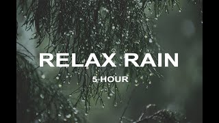 Rainy Forest Sounds for Sleep 5hourㅣASMR Rainfall