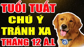 Tuổi TUẤT Tháng 12 Âm Lịch THẦN TÀI Gõ Cửa May Mắn TÀI LỘC, Chú Ý Điều Này Để Đón Tiền Bạc Về Tay