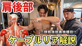 肩のリア最強種目!ケーブルリアで'メロン肩'を作る方法