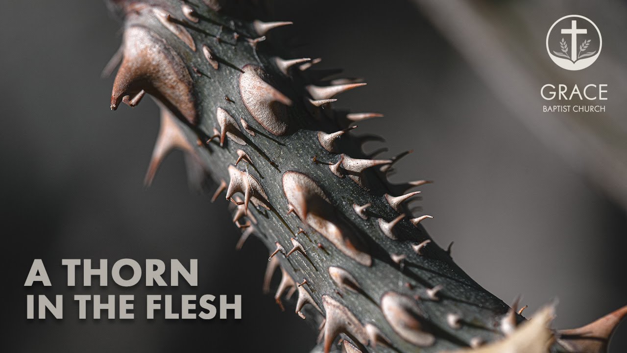 A THORN IN THE FLESH - 2 Corinthians 12:1-10 - YouTube