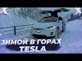 Как ведет себя Тесла зимой в горах?