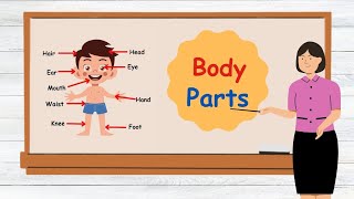 A Beginners Guide To Body Partslearn Parts Of Body Name And Make Sentence