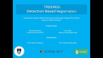 TREEREG - Detection based registration