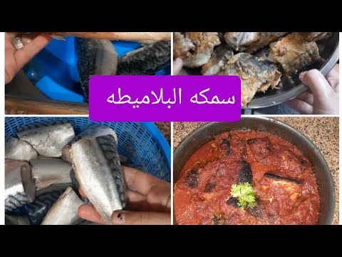 طريقه عمل سمك البلاميطه علي طريقه ست الحبايب حاجه كده فخيمه تكفي عيله 