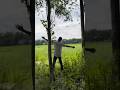 Welcome to my Youtube channel #viral #shorts