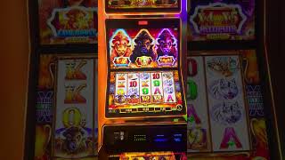 Favorite Buffalo Slot #slot