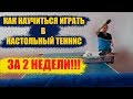 КАК НАУЧИТЬСЯ ИГРАТЬ В НАСТОЛЬНЫЙ ТЕННИС ЗА 2 НЕДЕЛИ. НАСТОЛЬНЫЙ ТЕННИС ДЛЯ НАЧИНАЮЩИХ.