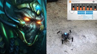 Celebrity Mini Dragoon Fenix Net Worth