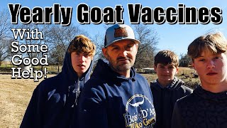 Goat Vaccines | Update on Me | Goat Video | Raising Goat Tips by Bois D’ Arc Kiko Goats 3,286 views 1 year ago 10 minutes, 2 seconds
