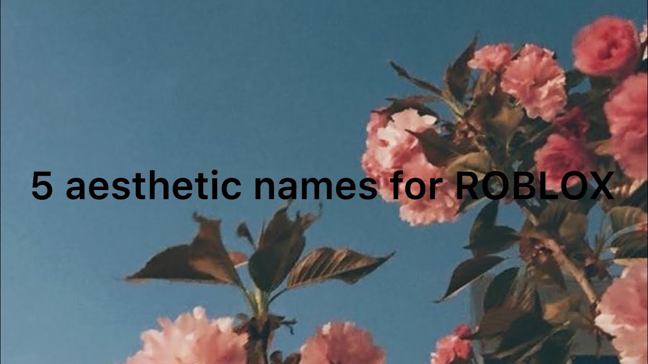 5 Aesthetic Names For Roblox First Video Youtube - roblox aesthetic flower names