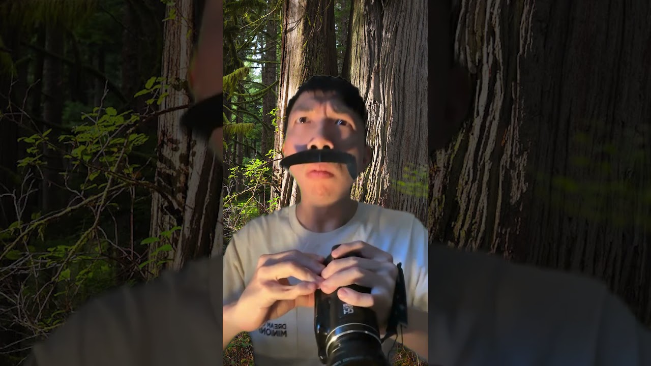 Welcome to Earth 210 million years ago and see dinosaurs #shorts