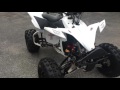 2010 yfz450x