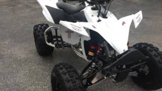 2010 yfz450x