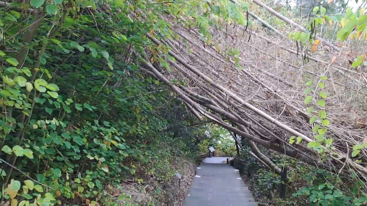 蘭潭後山半日遊（2026.02.17）