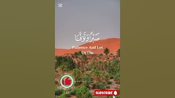 #كرزاز #اكسبلور #المصحف #صلوا_على_النبي #لايك #تلاوة_خاشعة #راحة_نفسية #قران_كريم