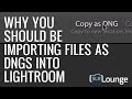 Why You Should Be Importing Files as DNGs into Lightroom