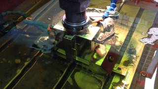 IMG 4584
