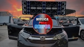 MASTIZO IS BACK -SE PUEDE REPETIR DOBLE TONO