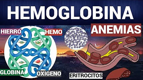 FUNCION DE LOS ERITROCITOS Y LA HEMOGLOBINA | PARTE 1 |