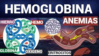 FUNCION DE LOS ERITROCITOS Y LA HEMOGLOBINA | PARTE 1 |