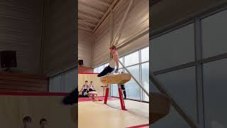 Gymnastique Artistique Masculine