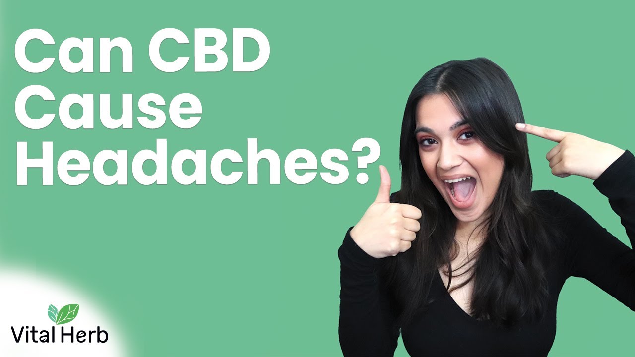 Can CBD Cause Headaches? [Vital Herb] YouTube