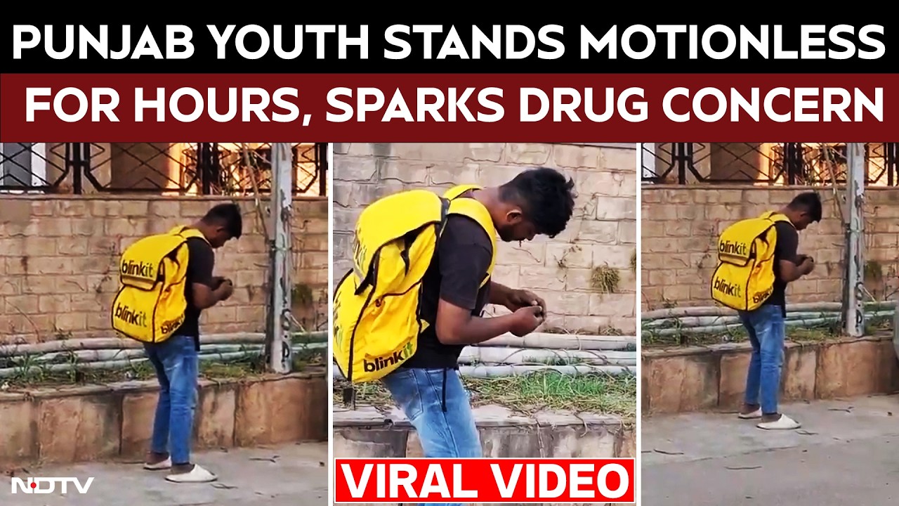 Punjab News | Punjab Youth Stands Motionless For Hours, Sparks Drug Use Concerns