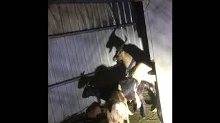 1080104有人被抓到