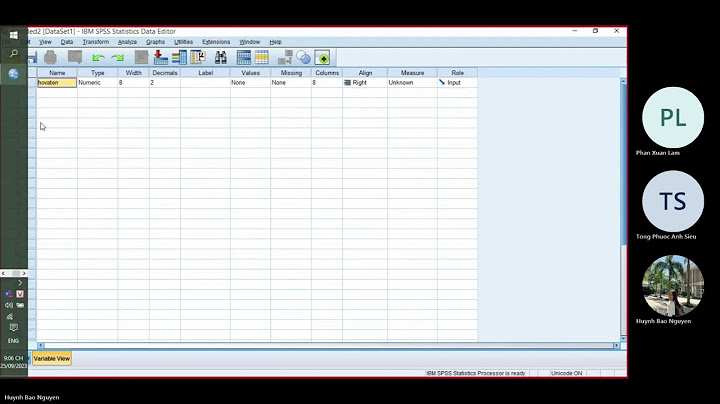 Hướng dẫn cài đặt và sử dụng phần mềm spss năm 2024