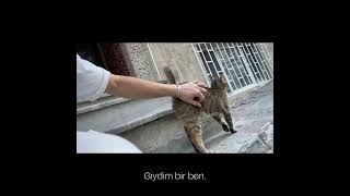ağustos ve gönlümdekiler