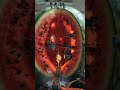🍉 Watermelon Core Mine Project | Tiny Workers Extract Seeds & Juice in Giant Fruit Cavern