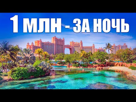 Video: Мейманкананын бөлмөсүндөгү эң кир нерсе эмне?