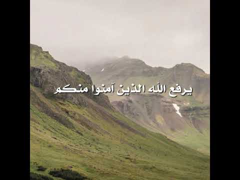 يرفع الله المنشاوي صوت جميل جدا 