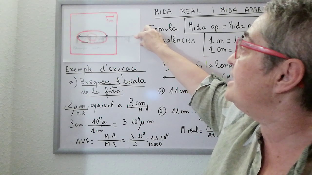 Mida Aparent Mida Real Augments