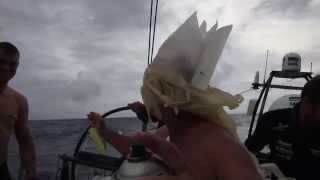 GOB report 8: King Neptune finally pays a visit!