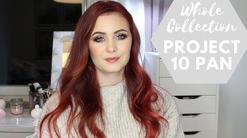 Whole Collection Project 10 Pan | Update #11