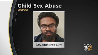 Man Arrested For Allegedly Sexually Assaulting 'Numerous' Children, Toddlers And Infants