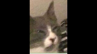 random csgo shit 3