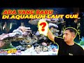 AQUARIUM AIR LAUT #EPS20 | LAGI DAN LAGI, MASUKIN IKAN DI AQUARIUM LAUT